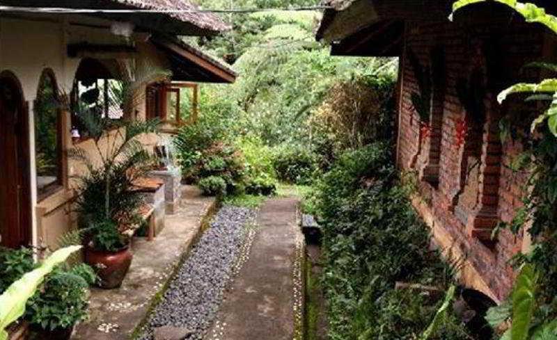 Sarinbuana Eco Lodge Selemadeg Exterior foto